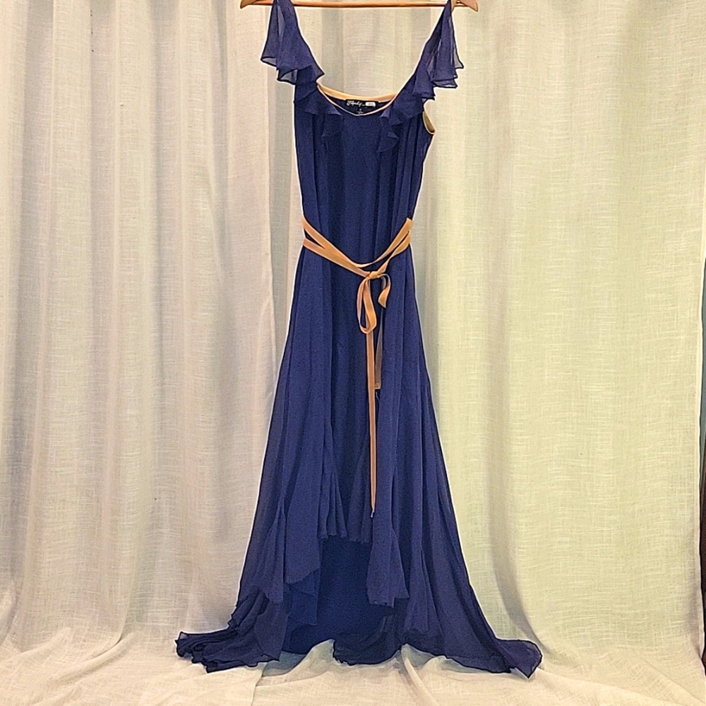 Elizabeth and James silk dress